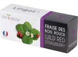 VéRitable Lingot Fragola Rossa Selvatica - Terriccio Per Preimpianti