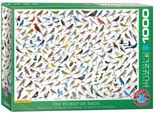 Eurographics Puzzle Mondo Degli Uccelli 1000 Pezzi
