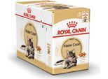 Royal Canin Maine Coon Adult Cibo Umido Per Gatti 12 X 85 G