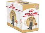 Royal Canin British Shorthair Adult Umido 12X85 G