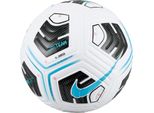 Palloni Nike Academy Team FZ7540102