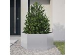 Vidaxl Fioriera Esagonale 104X90X45 Acciaio Zincato