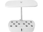 Sistema Di Coltivazione Idroponica Per Interni 12 Baccelli Controllo Automatico Dell'acqua Con Luce Led Coltivatore Idroponico Per La Casa