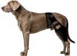 Inf Tutore Posteriore Traspirante Per Zampe Di Cane L