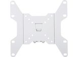 Techly ICA-LCD-114WH Techly Wandhalterung FüR Lcd Tv Led 13"-37"" Weiß"