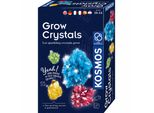 Kosmos Kristall-Zucht / Grow Crystals, Experimentierkasten, Kinder, Mehrsprachig, 616755