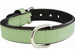 Collare Per Cani Gloria Imbottitura Verde (30 X 1,5 Cm)
