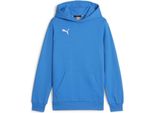 Puma Teamgoal Felpa Con Cappuccio - Bambino - Royal