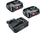 Bosch Starter Set 18 V 2X Pba 18V 6.0Ah W-C Batteria 6.0 Ah ( 2X 1600A00DD7 ) + Caricatore Al 18V-44 ( 1600A031X0 )