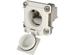 TelegäRtner Stx V6 RJ45 Set Di Flange Variante 6 Accoppiamento, Poli Di Installazione: 8P8C J00020A0483 Grigio Chiaro J00020A0483 1 Pz