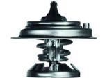 Termostato Inserto Filtro Refrigerante Mahle Per Mercedes 124 Notchback