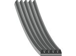 Cinghia Trapezoidale Dentata Febi Bilstein 628 Mm Per Volvo XC60 (156) 181294