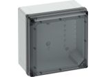 Spelsberg Custodia Vuota Kst IP66 L300Xh300Xp180Mm Et158Mm