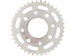 Pignone Rk "3139"" 428, Acciaio 52 Denti"