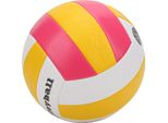 Pallavolo, Pallavolo Da Allenamento, Pallavolo Standard, Pallavolo Pu, Pallavolo Da Competizione