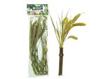 Back Zoo Nature | Bouquet Di Cereali Setaria | Per Tutti I Pappagalli 30G