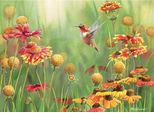 Cobble Hill Puzzle Colibrì 500 Stü Ck