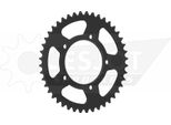 Pignone Esjot "32125"" 520, Acciaio, Nero 42 Denti"