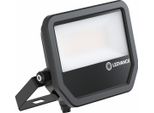 Ledvance Proiettore Led FL50P41W6KLM840..BK Ledvance