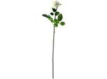 Fiore Artificiale Senza Marca Ramo Di Rosa Crema 56 Cm | 6 Pezzi