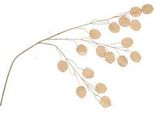 Ramo Artificiale Senza Marca Dollaro D'argento Oslo Gold 71Cm | 12 Pezzi