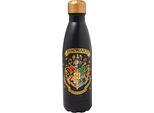 Bottiglia Di Harry Potter Hogwarts, Acciaio Inossidabile, 500 Ml