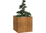 Vidaxl Fioriera Rusty 80X80X80 Cm Acciaio Resistente Alle Intemperie