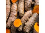 Curcuma - 2 Pezzi - Curcuma Longa - Palle Di Radici