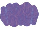 Doctor Squish Stucco Fai Da Te, Sigillante, 8 Anni, Viola, 1 Pz