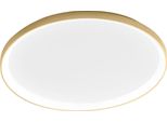 Krizia - Plafoniera Led 80W Dimmerabile - 5800Lm, Luce Calda 3000K, Diffusore Opale, Alluminio Oro Spazzolato, D. 70 Cm, IP20, Design Moderno