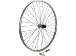 Ruota Posteriore Senza Marchio 28X13 8 Rodi
