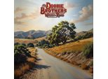 The Doobie Brothers - Walk This Road (140 G) (Lp)