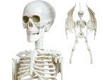 Decorazione Con Ali Di Scheletro Di Halloween Figura Decorativa Appesa Inquietante Acchiappa-Occhi Spaventoso Effetto Spaventoso Decorazione Per Feste Horror Interior Design Figura Di Scheletro Angolo