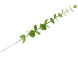 Stelo Di Eucalipto Decor 24 Foglie Di Plastica Filo Di Ferro Artificiale Finto Stelo Di Eucalipto Per La Casa Decorazione Di Nozze Partito Verde Chiaro