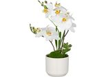 Phalaenopsis Bianca 30Cm Pianta Artificiale Real Touch In Vaso Di Ceramica Bianca 8X7 Cm Elegante
