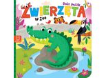 Leggere Con I Puzzle Animali Nello Zoo / Aksjomat