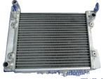 Radiatore, Alluminio, 2,5 Kg, Compatibile Con CAN-AM Renegade 500/800 R Efi (2007-2012), Capacità Di Raffreddamento Aumentata Del 40%, Costruzione Saldata A Tig
