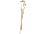 5Pcs Diffusore Rattan Bastoni 21Cm/8.3In Aromaterapia Legno Perline Bastone Fragranza Diffusore Sostituzione Bastoni