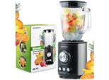 Potente Frullatore 800W Berdsen BD-751, Nero