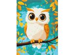 Pittura Per Numeri Brushme 30X40 Cm Gufo Per Bambini