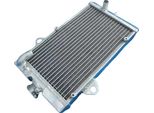 Radiatore In Alluminio, Prestazioni Di Raffreddamento Ottimizzate, Struttura Robusta, Adattamento Perfetto Per Yamaha Raptor, Capacità Aumentata, Saldatura Tig Precisa