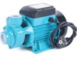 Pompa Elettrica Per Acqua E Circolazione - Pompa Vortice/Centrifuga - Spina Ue 220 V - Giri/Minuto 2850 - IP44 - Liquido 60 °C - Dimensioni 21,5×12×15,5 Cm - Ciano