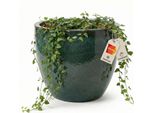 Vaso Da Fiori In Ceramica Eggpot Verde Muschio Ø 48 Cm | Xxl Resistente Al Gelo E Smalto Effetto