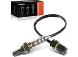 Frankberg 1X Sonda Lambda Sensore Di Controllo Prima Del Convertitore Catalitico Per Bmw Serie 3 Cabrio Coupe Touring Z3 Roadster E36 Serie 7 E38 Serie 8 E31