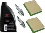 2 Candele + 2 Filtri + Olio SAE30 Per Hyundai Hym 510 Sp Pe Spez Sper SPER-NA