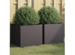 Maison Exclusive - Vaso Per Piante 2 Pezzi Nero 42X40X39 Cm Acciaio