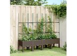 Maison Exclusive - Fioriera Con Griglia Marrone 160X40X142,5 Cm Pp