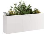 Maison Exclusive - Vaso Da Fiori 200X40X80 Cm In Acciaio Inox