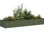 Maison Exclusive - Fioriera Verde Oliva 280X80X40 Cm In Acciaio