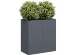 Maison Exclusive - Vaso Per Piante Antracite 80X40X80 Cm Acciaio Laminato A Freddo